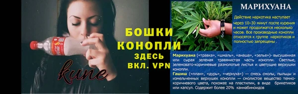 эйфоретик Майский