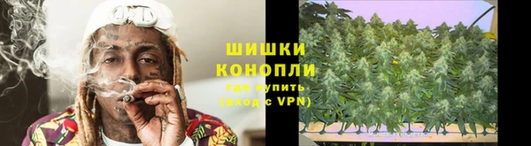 PSILOCYBIN Медногорск