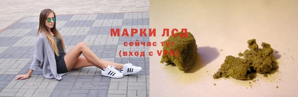 СК Гатчина