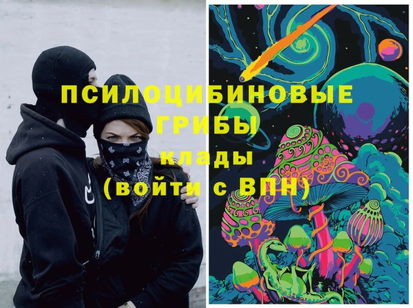 дмт Магас