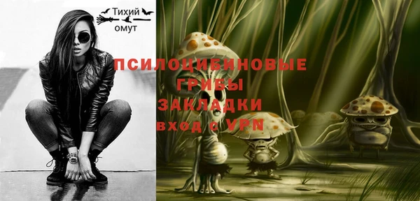 соль курить ск Медвежьегорск