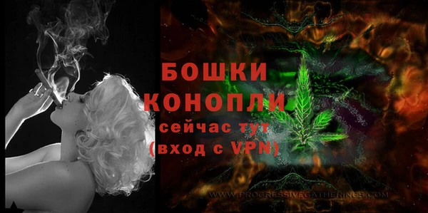 дмт Магас