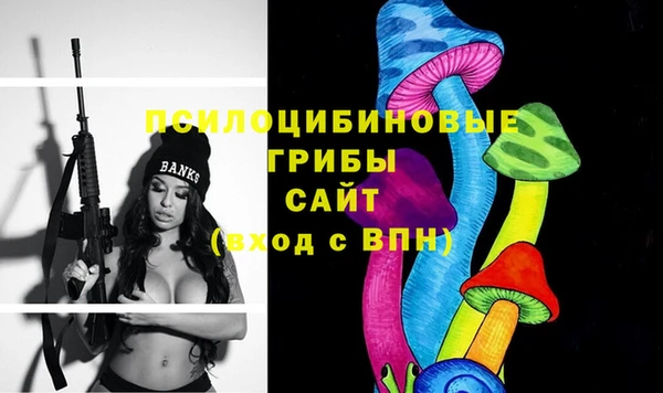PSILOCYBIN Медногорск