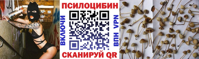 Псилоцибиновые грибы мухоморы  Томари 